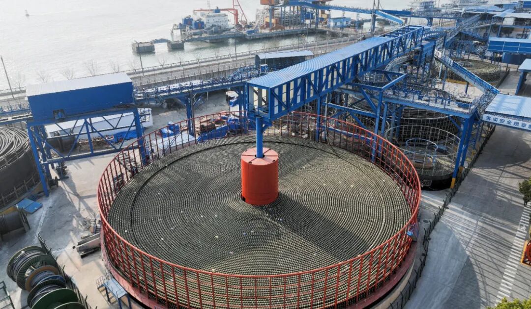 1766113085746526.jpg 1766113085746526.jpg