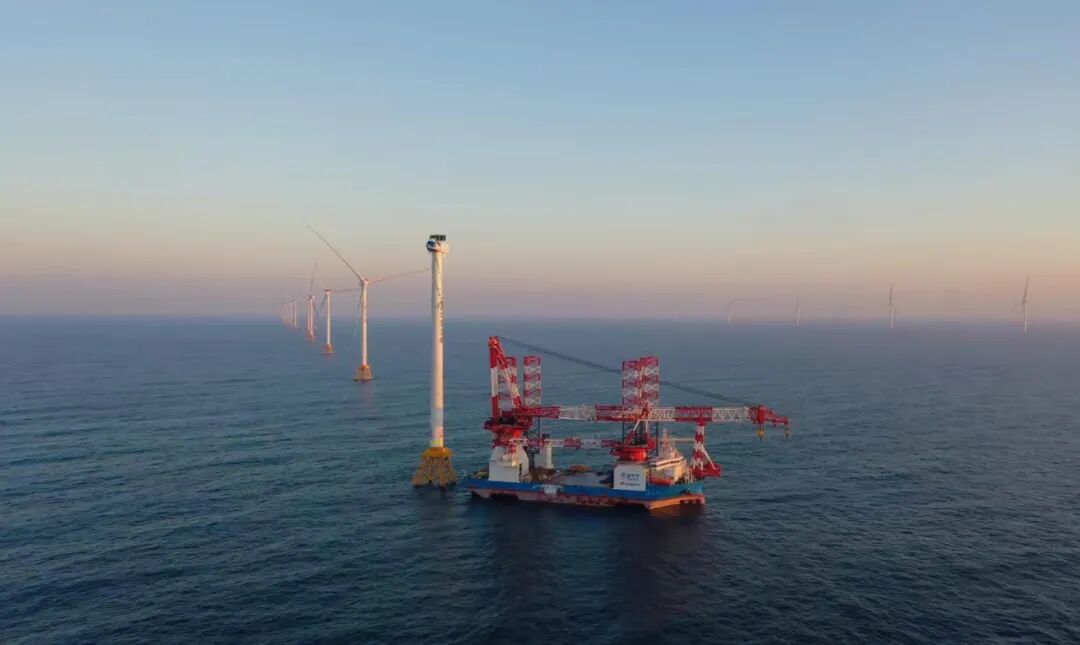 1766113116970631.jpg 1766113116970631.jpg