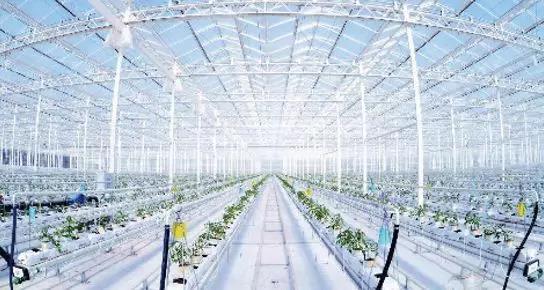 1523159678586233.jpg 20180408115300.jpg