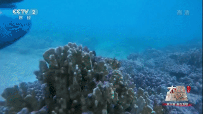 1557479381286106.gif
