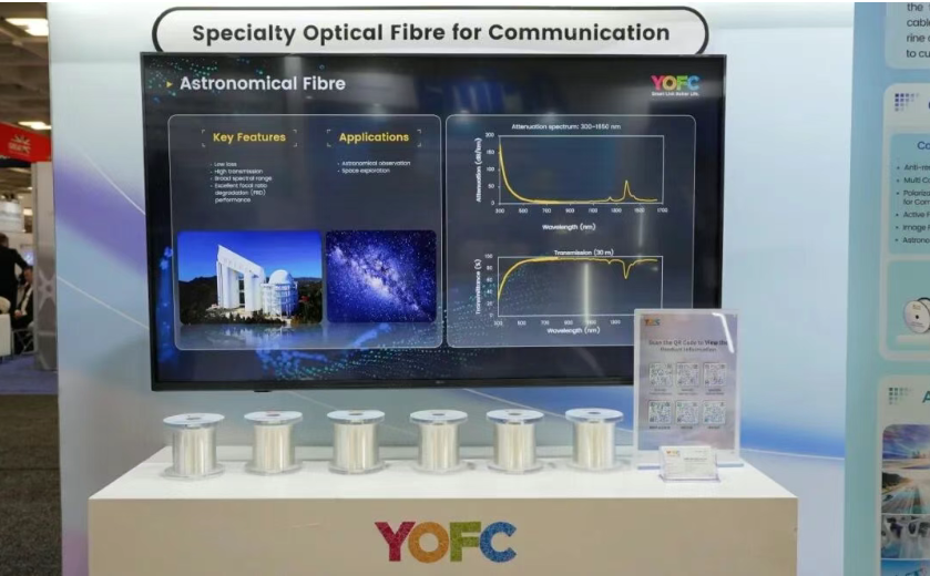 1769070923138901.png 1769070923138901.png