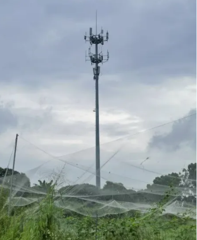 1740621540877220.png 1740621540877220.png